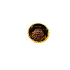 Rudraksha